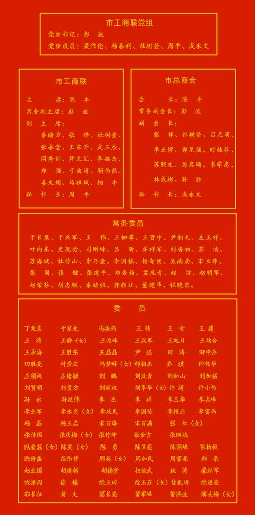 2017.03.31--市工商聯(lián)(總商會(huì))第九次代表大會(huì)